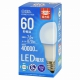 LED電球 E26 60形相当 昼光色 [品番]06-3674