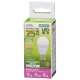 LED電球 小形 E17 25形相当 昼白色 [品番]06-4472