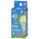 LED電球小形E17 40形相当 昼白色 [品番]06-5540