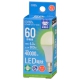 LED電球小形E17 60形相当 昼白色 [品番]06-5546