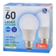 LED電球 E26 60形相当 昼光色 2個入 [品番]06-5318