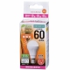LED電球 小形 E17 60形相当 電球色 [品番]06-3354